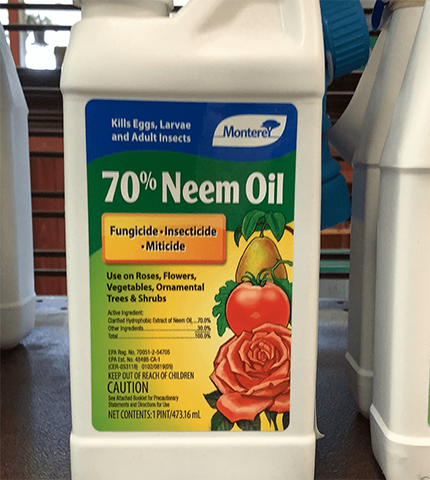 70% Neem Oil 1 pint concentrate